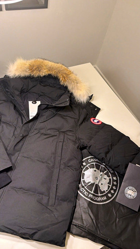 Canada goose wyndham - goose,