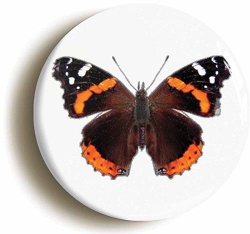 Red admiral butterfly badge - admiral,
