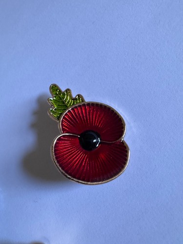 2026 red pin - badge, remember