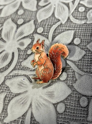 Red squirrel woodland wild - woodland,